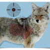 Birchwood Casey Pregame Coyote Paper Hanging Rifle Target 16.50" x 24" Impact Enhancement 3-Pack 2 136568