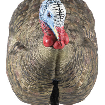 Avian X AVXAVX8012 LCD Half-Strut Jake Turkey Species Multi Color Dura-Rubber