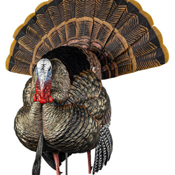Avian X AVXAVX8108 HDR Strutter Turkey Species Multi Color