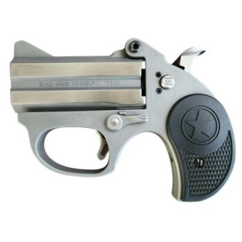 Bond Arms Stinger RS 9mm Luger Derringer Pistol 2-Round 3-Inch Barrel Stainless Steel