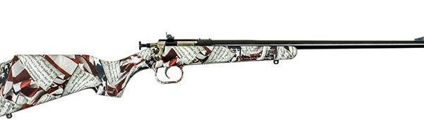 Keystone Crickett .22 LR Single Shot Bolt Action Rifle 16.125" Blued Barrel Synthetic Stock