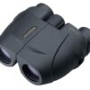 Leupold BX-1 Rogue Compact Binocular - 8x25mm Inverted Porro Prism Black 1 LU59220