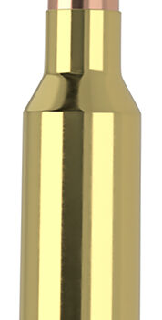 Nosler .300 WSM 165gr Ballistic Tip 20 Per Box 10 Case