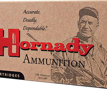 Hornady Custom 6.5 Grendel 90gr CX 20rd Box