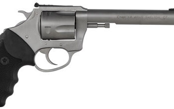 Charter Arms 73560 Pug Target 357 Mag 5rd 6"