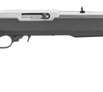 Ruger 31224 10/22  22LR 10+1 18.50" Clear Satin