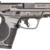 S&W M&P9 M2.0 14106 METAL CMP 9M OR TS 3.6 10R GRY 2 176137