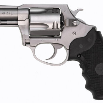 Char BullDog 44Spl 2.5" SS/FS/LzrGrp 5rd