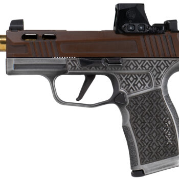 SIG SHARK COAST TACTICAL DEBACLE G/B 365X9BXR3RXX