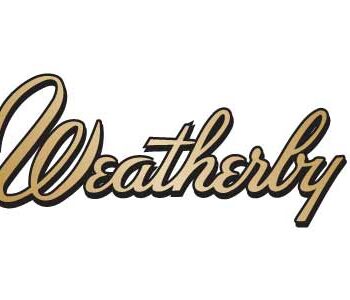 WEATHERBY VANGUARD BLACKHILLS 6.5CR HB