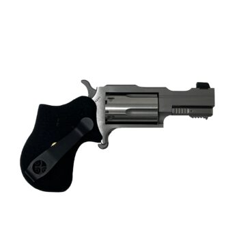 NORTH AMERICAN ARMS 22MAG 1-5/8" RULE 1 SS XS SGHT