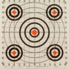 Champion Targets 45726 Score Keeper Bullseye Paper Hanging 100 yds Pistol/Rifle 14" x 18" Multi-Color 12 PK 1 9053