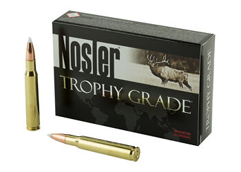 NOSLER 30-06 165GR AB 20/200