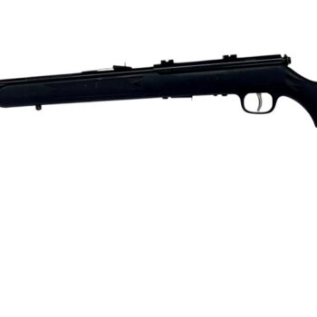 Alternative view of SAVAGE MARK II .22LR MKII 10RD 21"