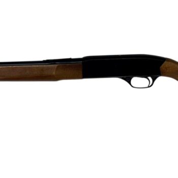 Alternative view of WINCHESTER 190 .22LR SEMI AUTO 20.5" 15RD
