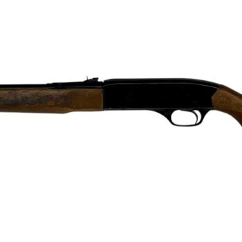 Alternative view of WINCHESTER 190 .22LR SEMI AUTO 20.5" 15RD