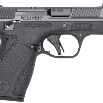 PC Bodyguard2.0 380 3.1" TS Gry/ Blk (2) 10-rd