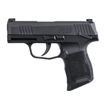 P365 380 ACP 3.1" Blk MS (2) 10-rd *MA