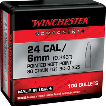 Winchester Ammo WB243SP80X Centerfire Rifle  243Win 80gr Pointed Soft Point 100 Per Box/10 Case
