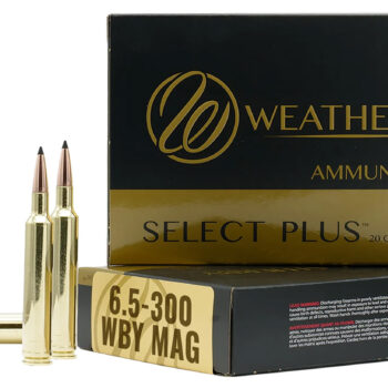 Weatherby H653140IL Select  6.5x300 Wthby Mag 140 gr 3275 fps Hornady Interlock 20 Bx/10 Cs