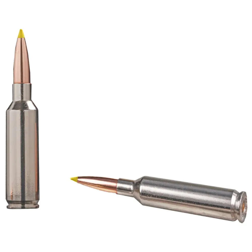 WINCHESTER BALLISTIC SILVERTIP AMO 6.8WST 170GR BST 20RD (10 BOX CASE) 5 WINCHESTER BALLISTIC SILVERTIP AMO 6.8WST 170GR BST 20RD (10 BOX CASE) - Image 3