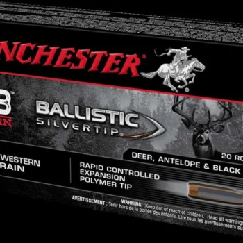 WINCHESTER BALLISTIC SILVERTIP AMO 6.8WST 170GR BST 20RD (10 BOX CASE) 9 486795 14258674