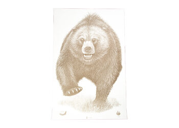 ACTION TGT AK STATE PARK BEAR 100PK