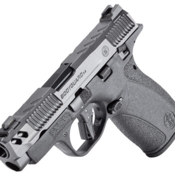 SW PC BODYGUARD 2.0 TS CARRY 380ACP 3.1 10/12R