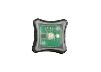 UNITY SPARK LIGHT GREEN