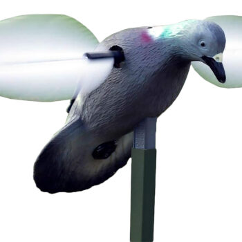 Mojo Outdoors HW2410 Pigeon  Species Multi Color Plastic