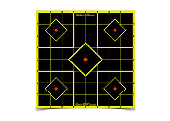 B/C SHT-N-C SIGHT IN TGT 15-8"