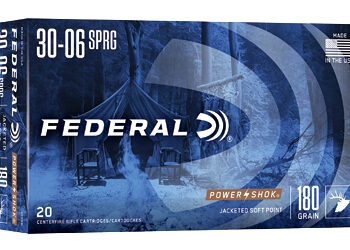 FED PWRSHK 3006 180GR SP 20/200