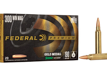 FED GOLD MDL 300WN 190GR BTHP 20/200