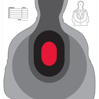 Birchwood Casey 35722 Dirty Bird  Silhouette Tagboard Target 12" x 18" 100 Per Pkg