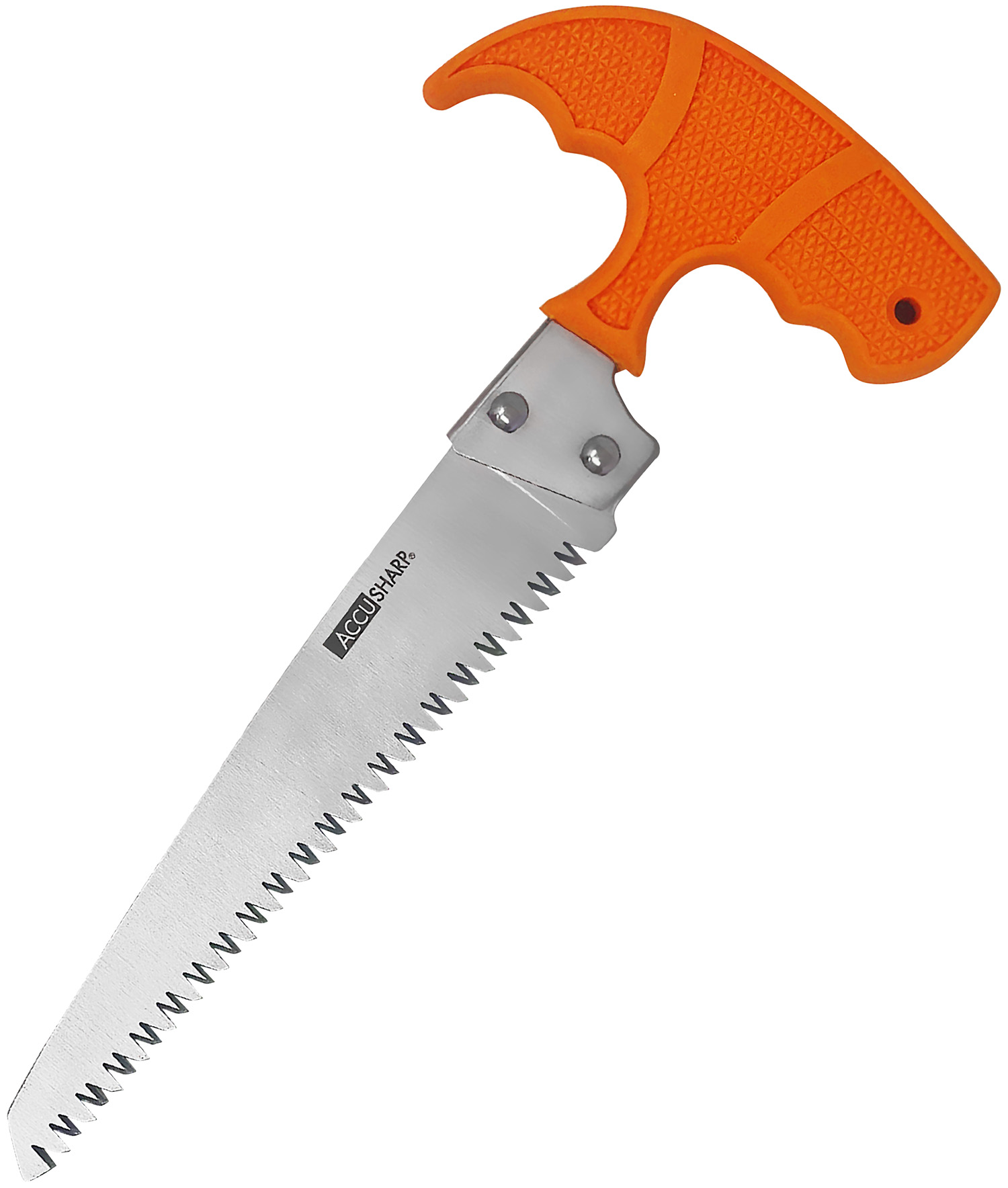 AccuSharp 730C Bone Saw Fixed Saw 6" Stainless Steel Blade/ Blaze Orange T-Shaped Handle 3 AccuSharp 730C Bone Saw Fixed Saw 6" Stainless Steel Blade/ Blaze Orange T-Shaped Handle