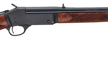 HENRY SINGLESHOT STEEL 360BUCK 22 WALNUT