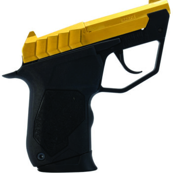 22 TUC .22LR 2.5" Fixed Gold/Blk 9-rd