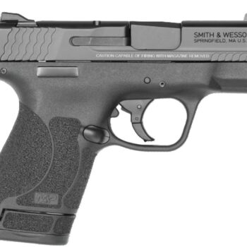 M&P40 Shield 2.0 .40S&W 3.1" MTS WDot Blk 7-rd