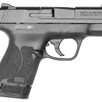 M&P40 Shield 2.0 .40S&W 3.1" NTS WDot Blk 7-rd