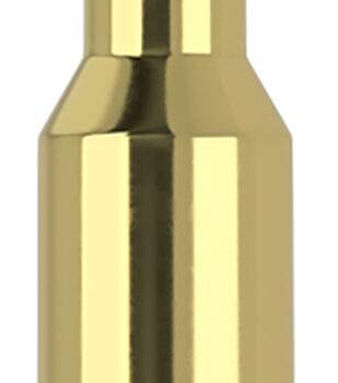 Nosler 61053   6.5x55Swedish 140gr Ballistic Tip 20 Per Box/10 Case