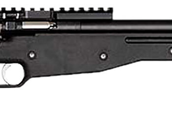 Crickett KSA2150-BLK Precision  Full Size 22 LR Single Shot 16.10" Blued Threaded Bull Barrel, Blued Crickettinny Rail Steel Receiver, Black Synthetic Adj LOP Stock