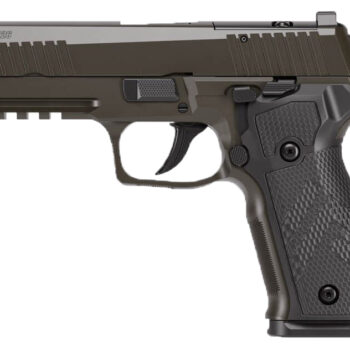 SIG P226 LEGION 9MM 4.4 GRY XRAY3 3-10RD OR