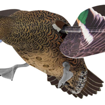 Avian X AVXPFLHT PowerFlight Hen Green-Winged Teal spinning wing decoy