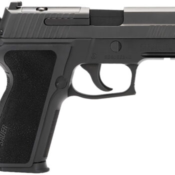 Sig Sauer E29R9BSER2 P229  9mm Luger 15+1 3.90" Optic Ready Black Compact Frame E2 Grip