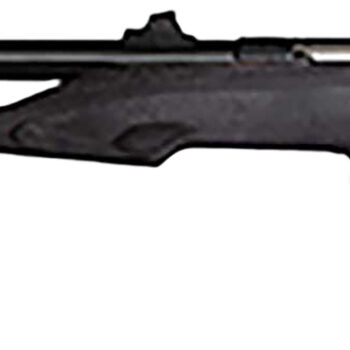 Crickett 41003 Hunter Adult 22 Mag 1rd 9" Threaded Blued Steel Single Shot Barrel, Black Laminate Stock
