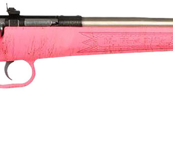 Crickett KSA2441 Gen2  Youth 22 LR 1rd 16.13" Stainless Single Shot Barrel, Stainless Steel Receiver, Pink w/Gold Webbing Fixed Synthetic Stock