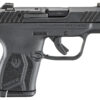 Ruger 13760 LCP Max Compact Frame 380 ACP 10+1 2.80" Black Oxide Alloy Steel Barrel, Black Nitride Alloy Steel Serrated Slide, Black Polymer Frame, Textured Grip, Manual Safety 1 185516