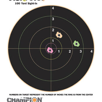 Champion Targets 45824 VisiColor  Bullseye Paper Hanging Pistol/Rifle 8.50" x 11" Multi-Color Includes Pasters 10 Pack
