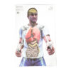 ACTBOB TARGET01 100 1