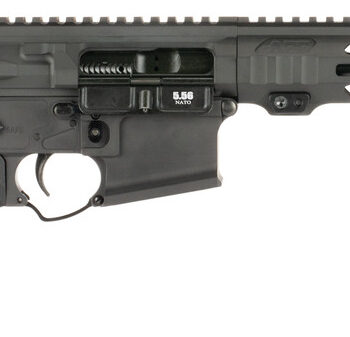 APF 5.56 PISTOL 2.0 10.5 BLK MLOK